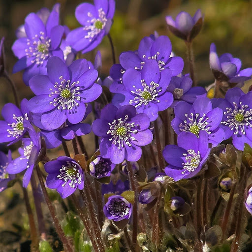 Hd-142791-ascw142791