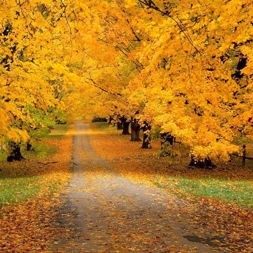 Hd-132299-ascw132299