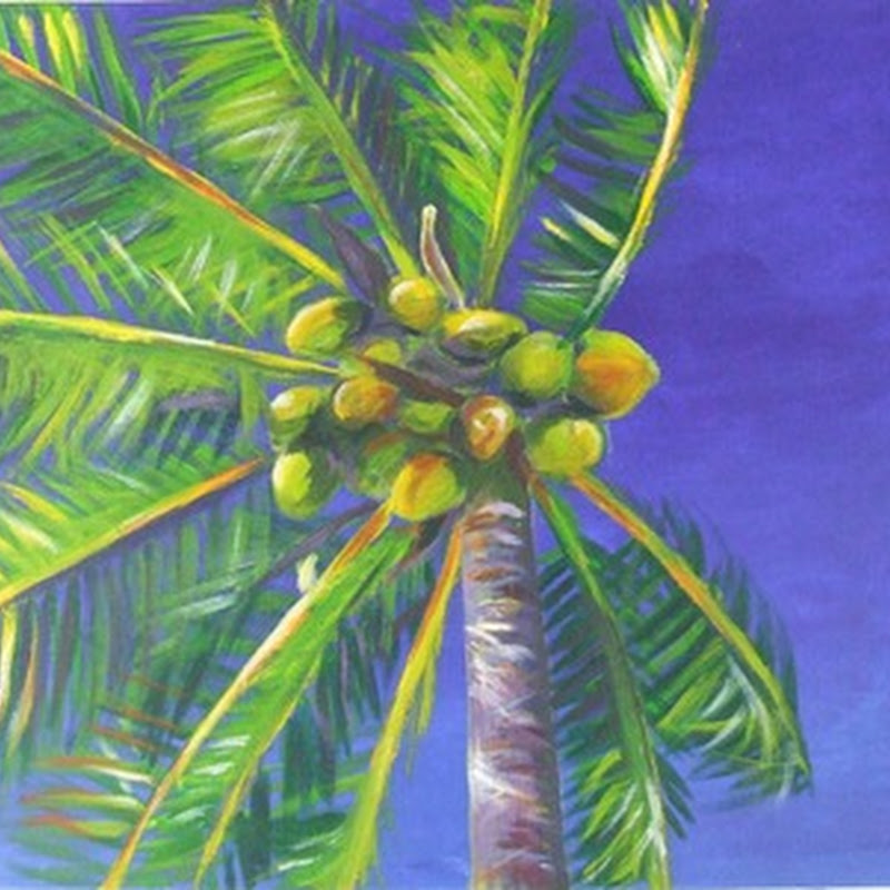 Catherine Armstrong – Nature Paintings of the Bahamas
