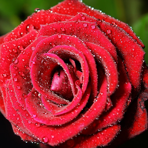 Hd-170949-ascw170949