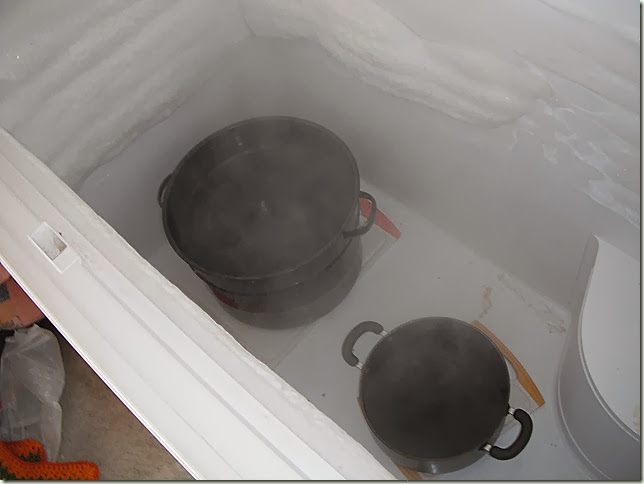 Pots on Cutting boards in freezer