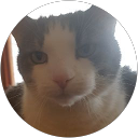 Mike V.,LocalHabitat