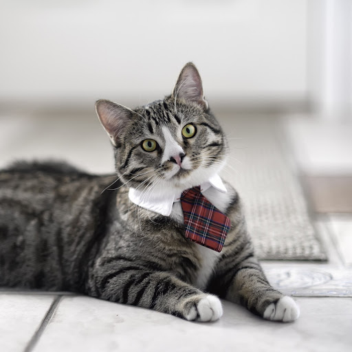 Hd-169019-ascw169019