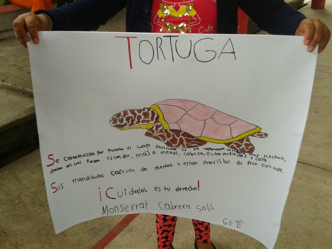 Carteles De Animales En Peligro De Extincion Para Niños