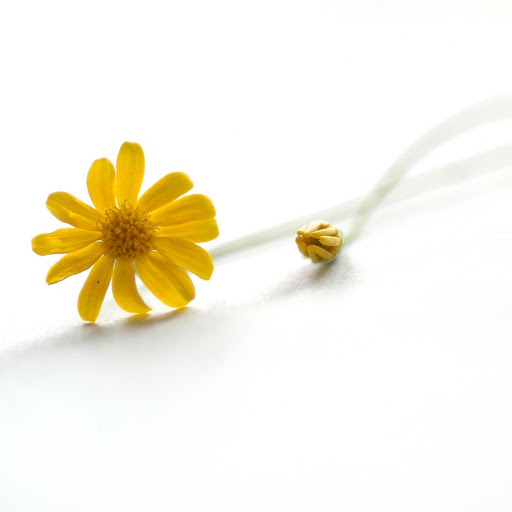 Hd-162785-ascw162785