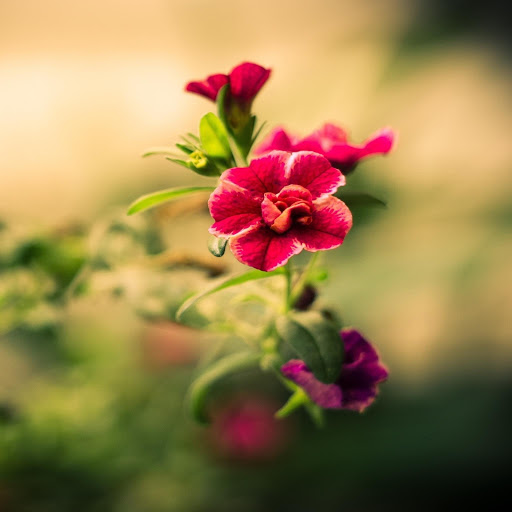 Hd-156717-ascw156717