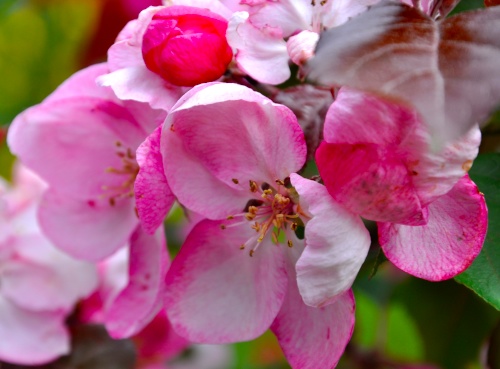 DSC_0517.jpg DSC 0517