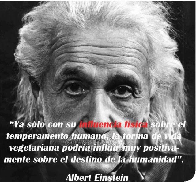 [frases%2520einstein%2520%25283%2529%255B2%255D.jpg]