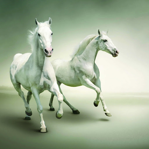 Hd-145045-ascw145045