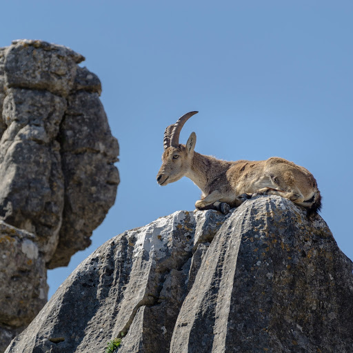 Hd-155807-ascw155807