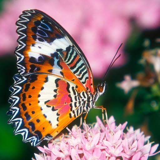 Hd-169647-ascw169647