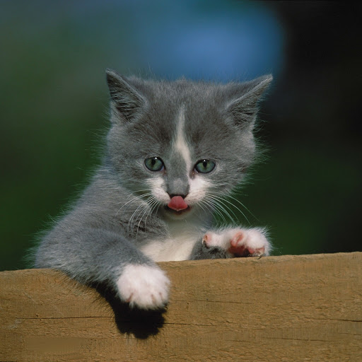 Hd-190491-ascw190491