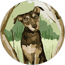 vj sam profile picture