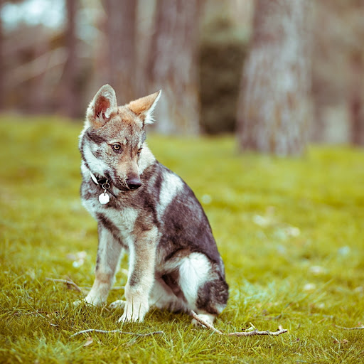 Hd-180740-ascw180740