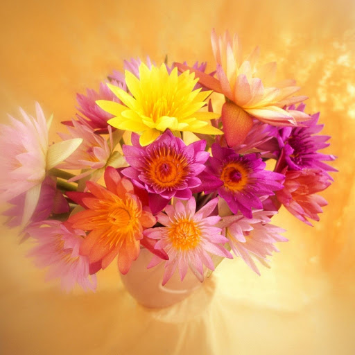 Hd-131937-ascw131937