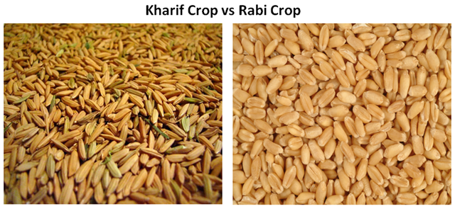 Kharif crop vs Rabi crop