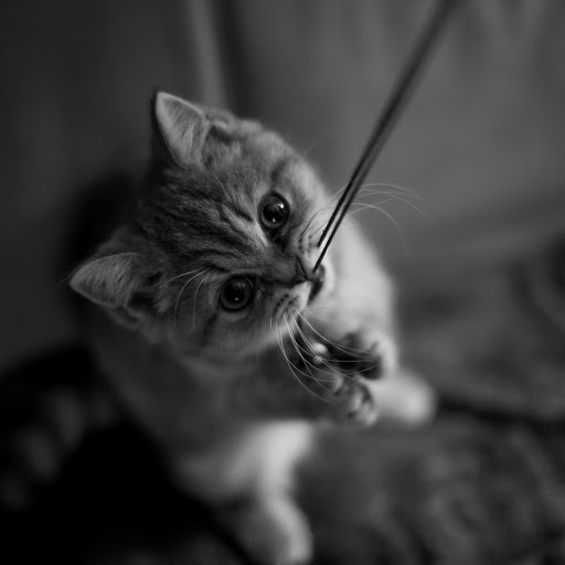 Hd-159246-ascw159246