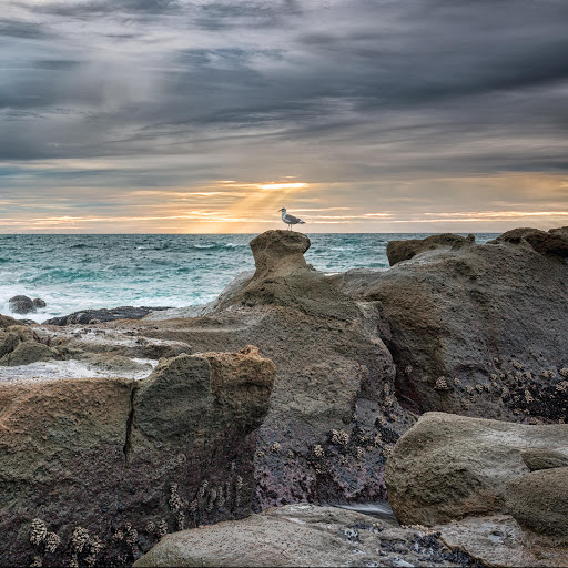 Hd-183075-ascw183075