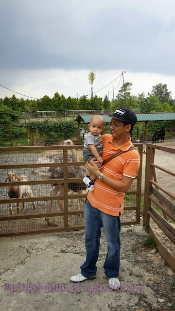 Bawa Anak Kenali Haiwan Secara Dekat di Farm In The City, Seri Kembangan Bawa Anak Kenali Haiwan Secara Dekat di Farm In The City, Seri Kembangan