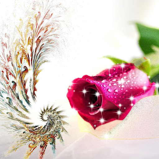 Hd-135051-ascw135051