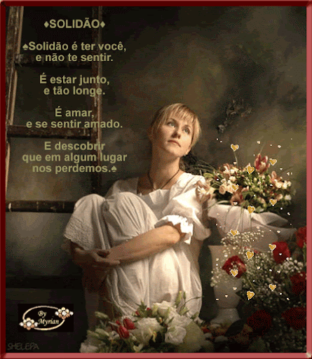 novo555.png