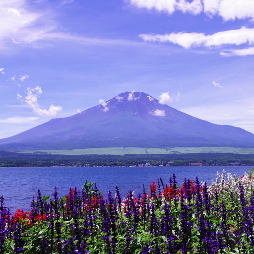 Hd-142113-ascw142113