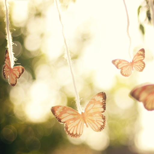 Hd-150288-ascw150288