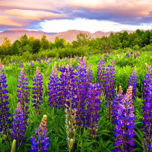 Hd-146153-ascw146153