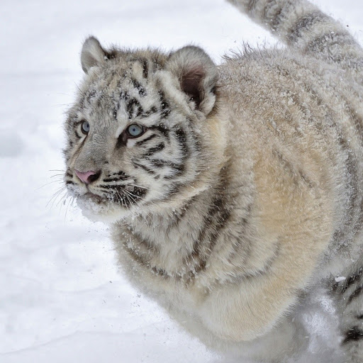 Hd-180328-ascw180328