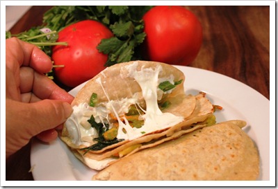 Squash Blossoms Quesadillas | enjoy this traditional recipe with a step by step photo tutorial.