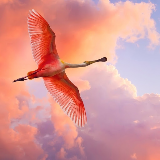 Hd-157194-ascw157194