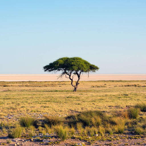 Hd-143166-ascw143166