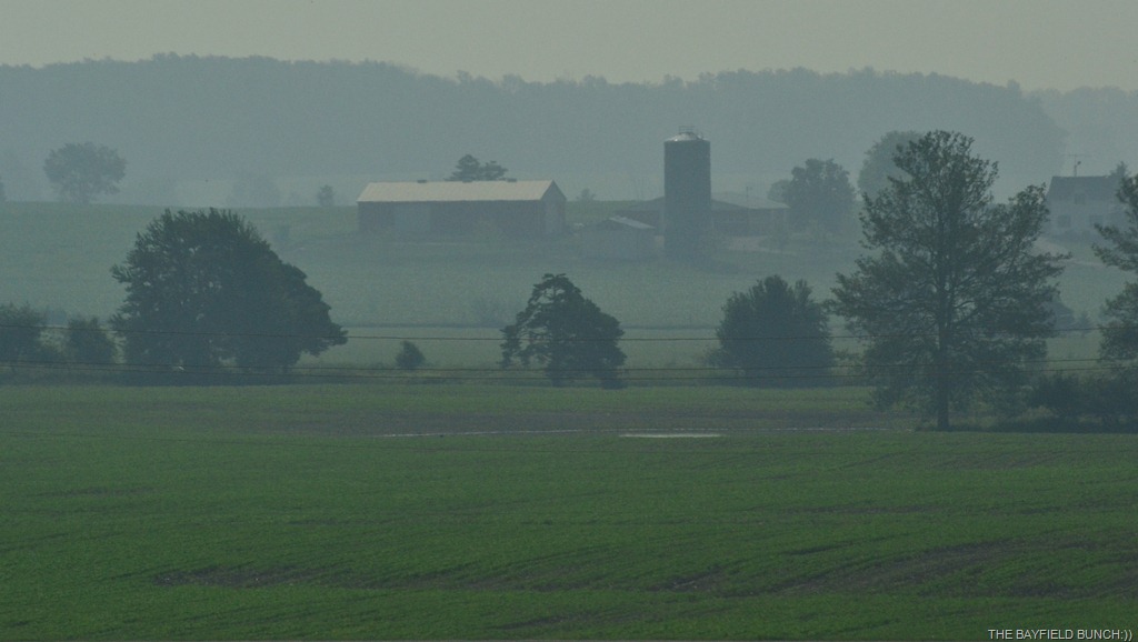 [DSC_00024.jpg]