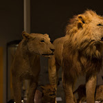 IMG_5623.jpg