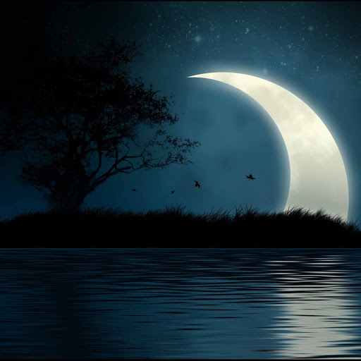 Hd-130974-ascw130974