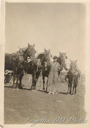 Foyur Horses DL Antiques