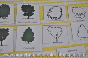 Tree Shapes printable