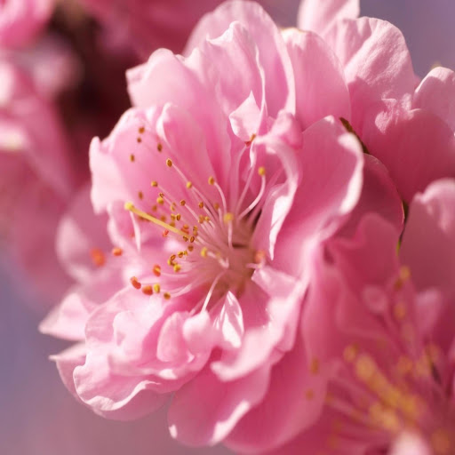 Hd-168836-ascw168836