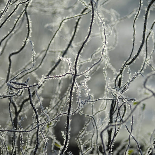 Hd-167569-ascw167569