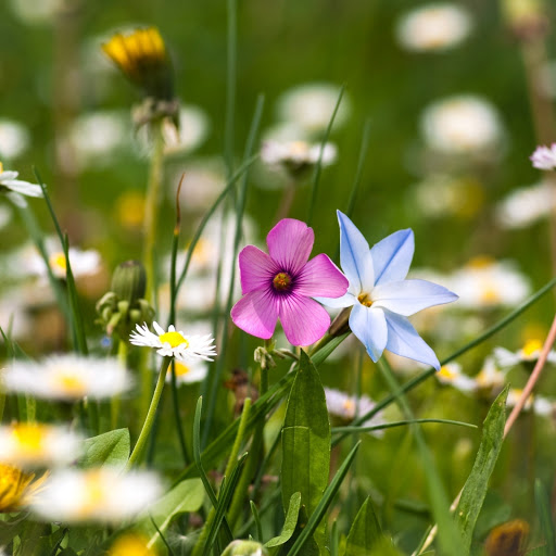 Hd-165793-ascw165793