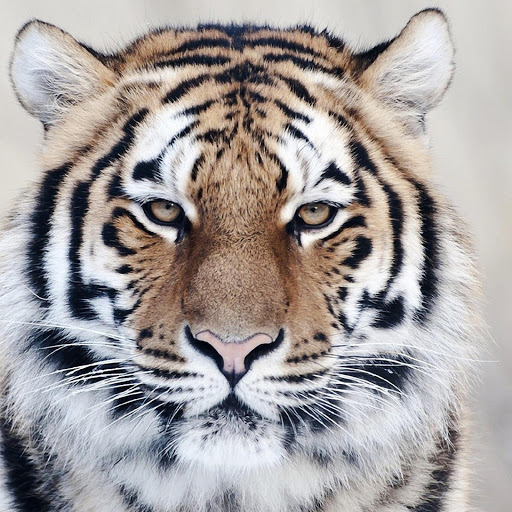 Hd-180569-ascw180569