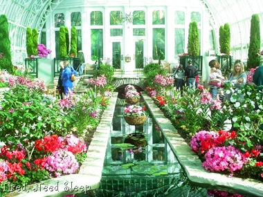 [IMAG0230%255B2%255D.jpg]