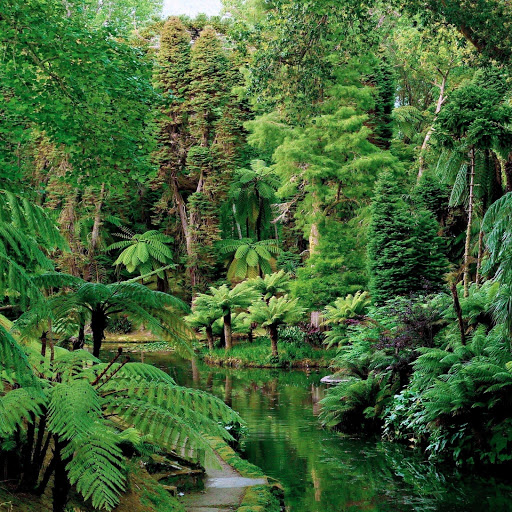 Hd-164543-ascw164543