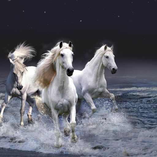 Hd-173496-ascw173496