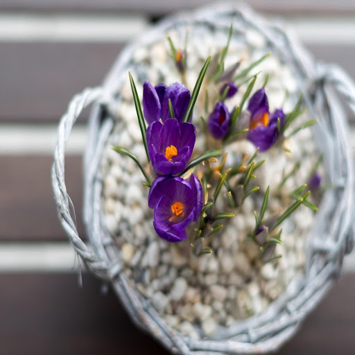 Hd-170285-ascw170285