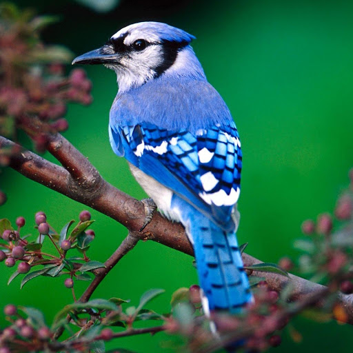 Hd-178056-ascw178056