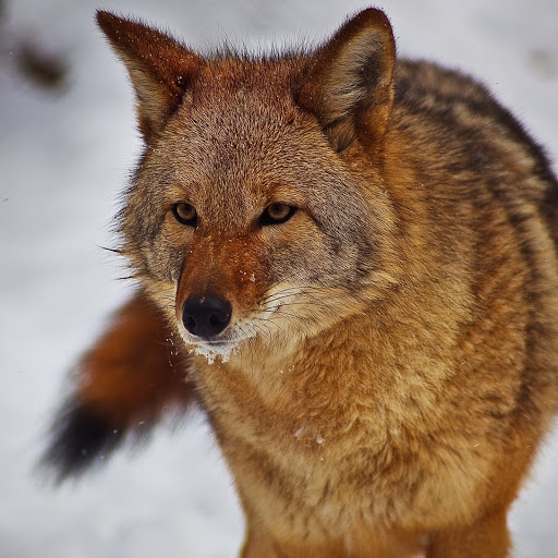 Hd-174366-ascw174366