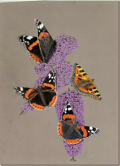 butterflies108-001 (2)