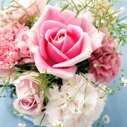 Hd-146136-ascw146136