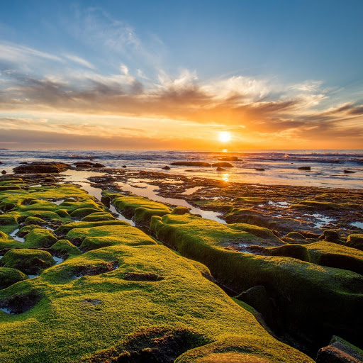 Hd-178780-ascw178780